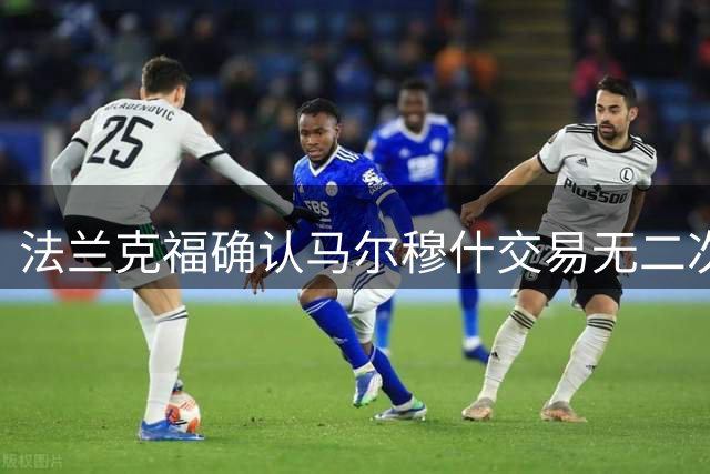 法兰克福确认马尔穆什交易无二次分成条款