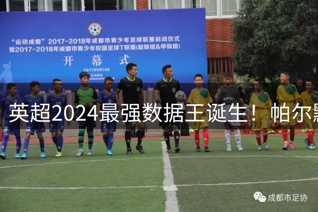 英超2024最强数据王诞生！帕尔默独造25球惊艳足坛